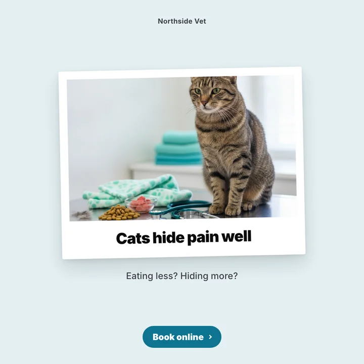 A post designed for Northside Vet